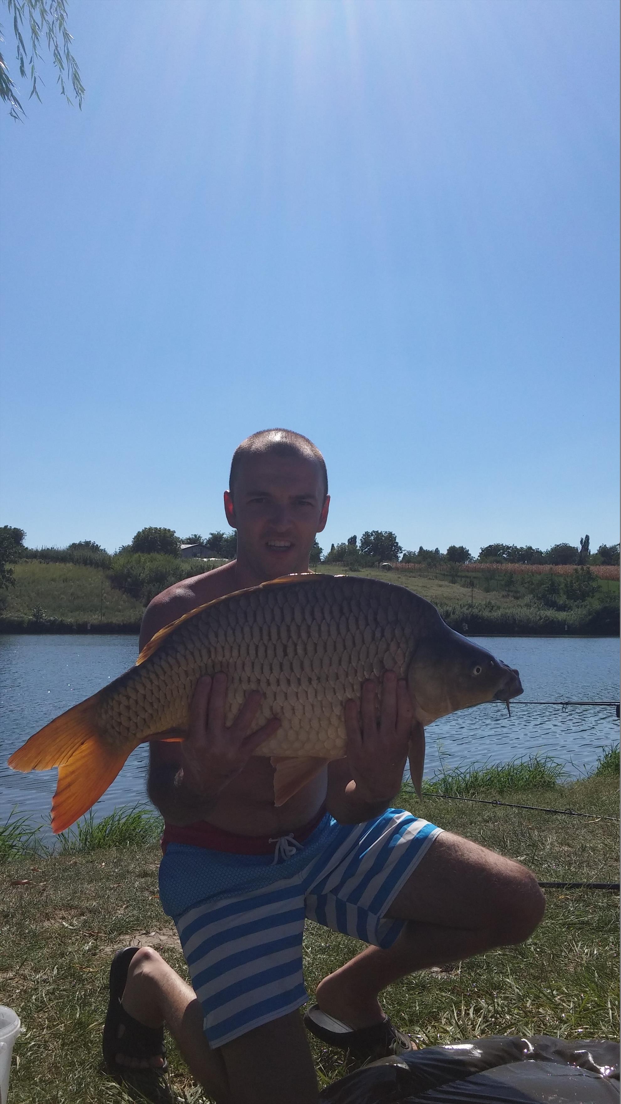 MV2 1 sept. 2015 - 2015090114495511.jpg